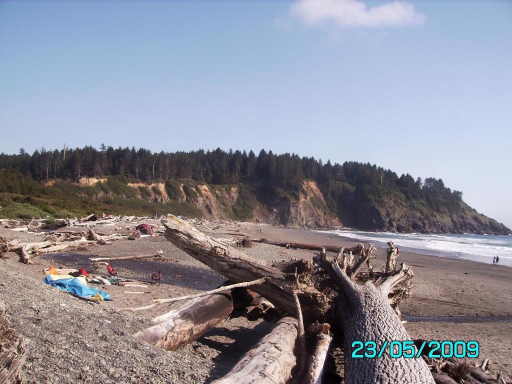 Rooster Hill Guest House Port Angeles Exterior foto
